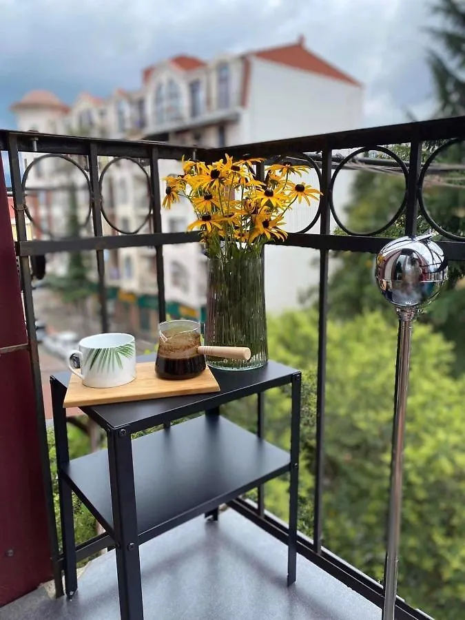 Renovated Apartment In Central Μπατούμι