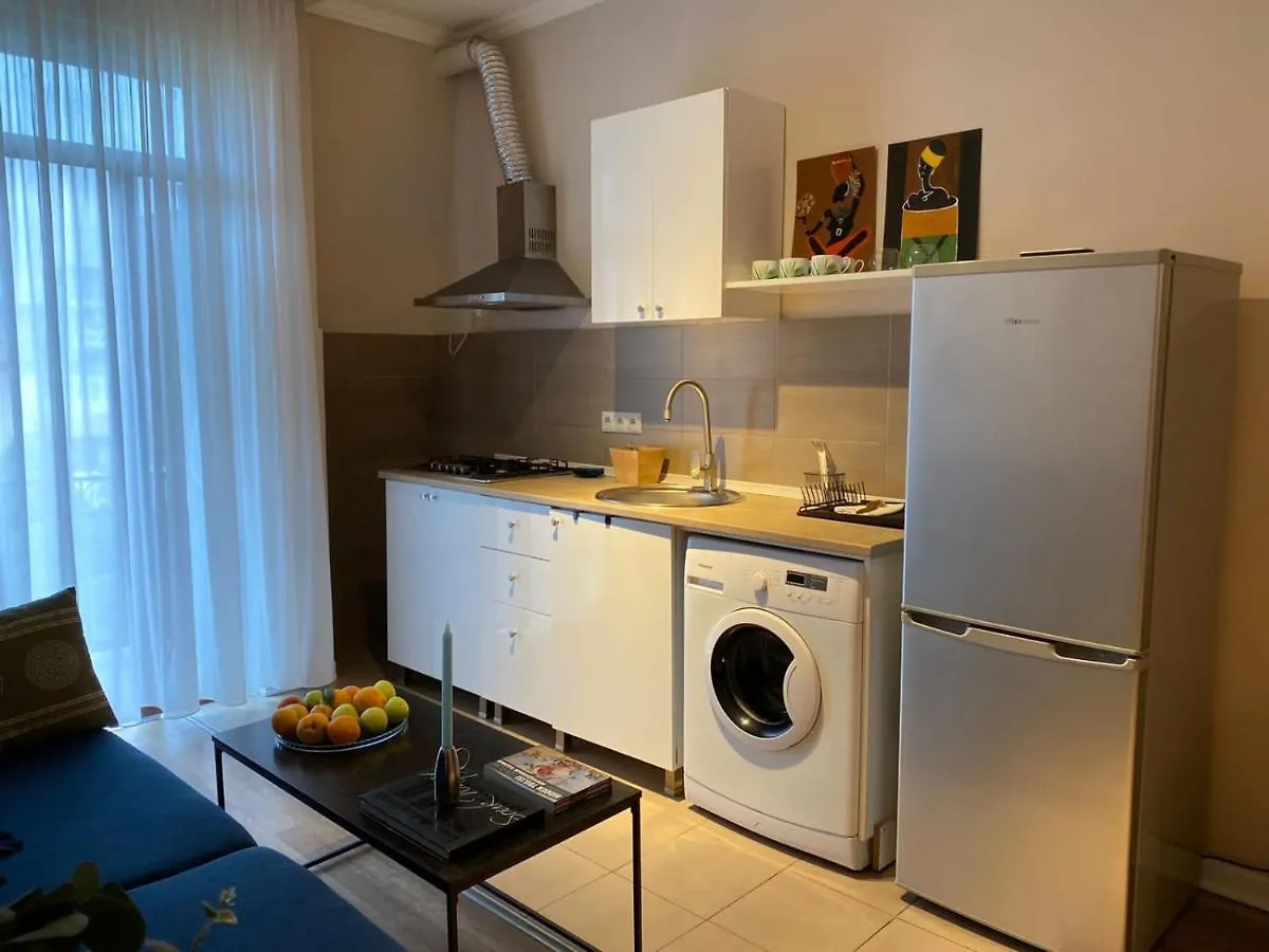 Renovated Apartment In Central Batumi Georgia